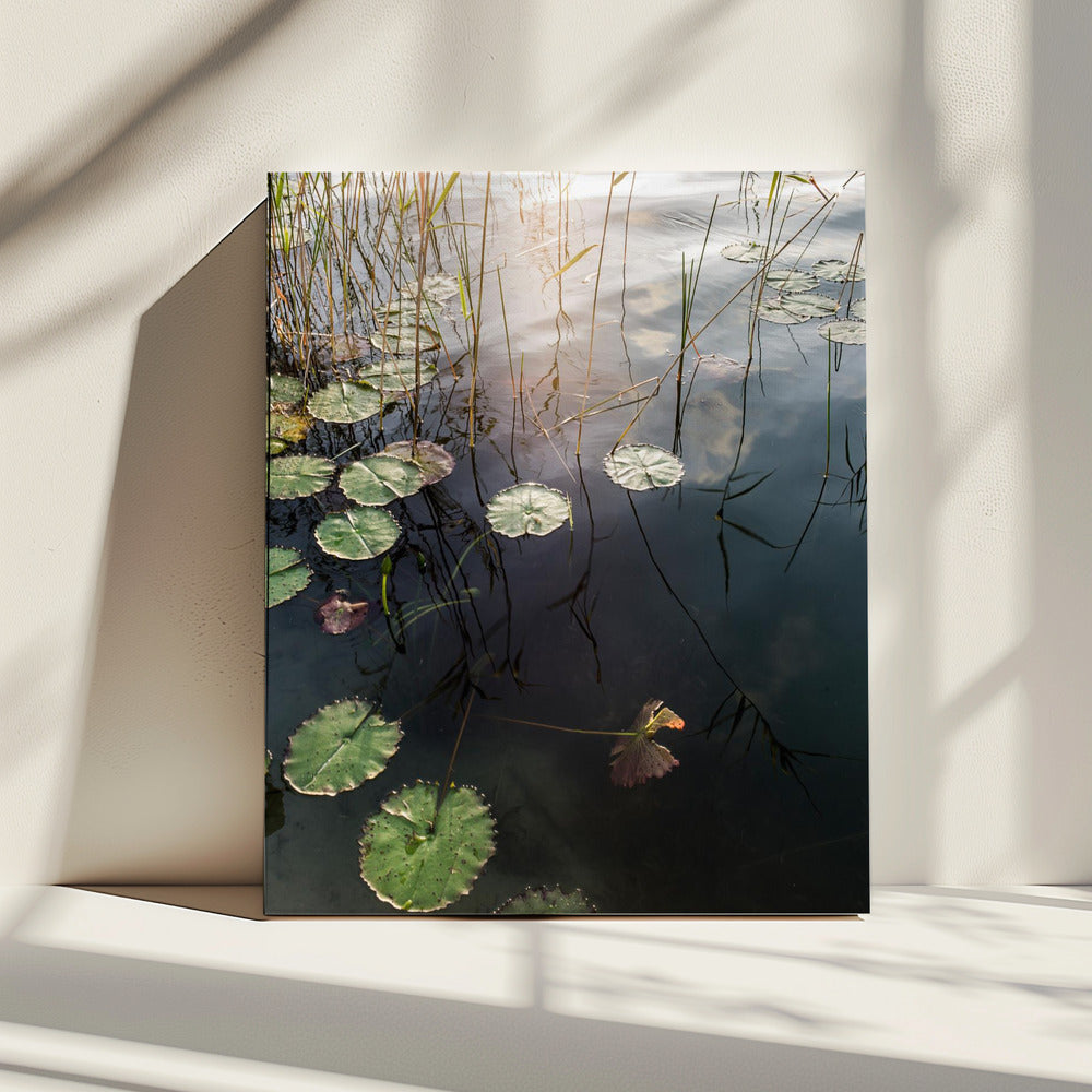 Lily's rustige dageraad | Canvas