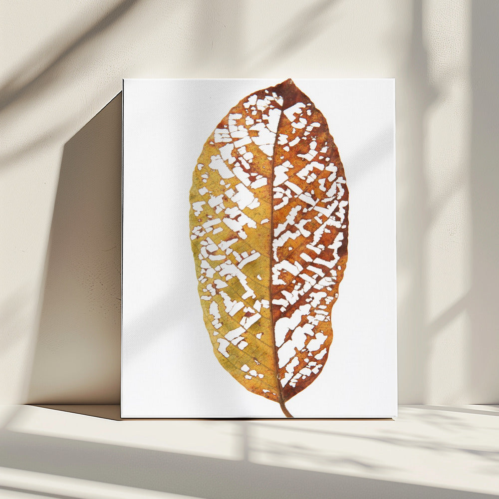 Vervaagd gebladerte kant | Canvas