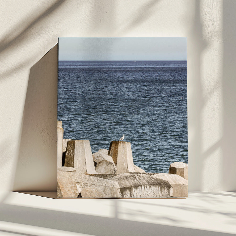 Meeuw aan zee | Canvas