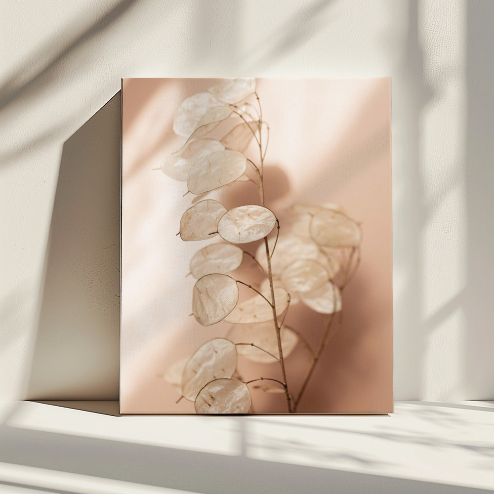 Laatste zomer 12 | Canvas