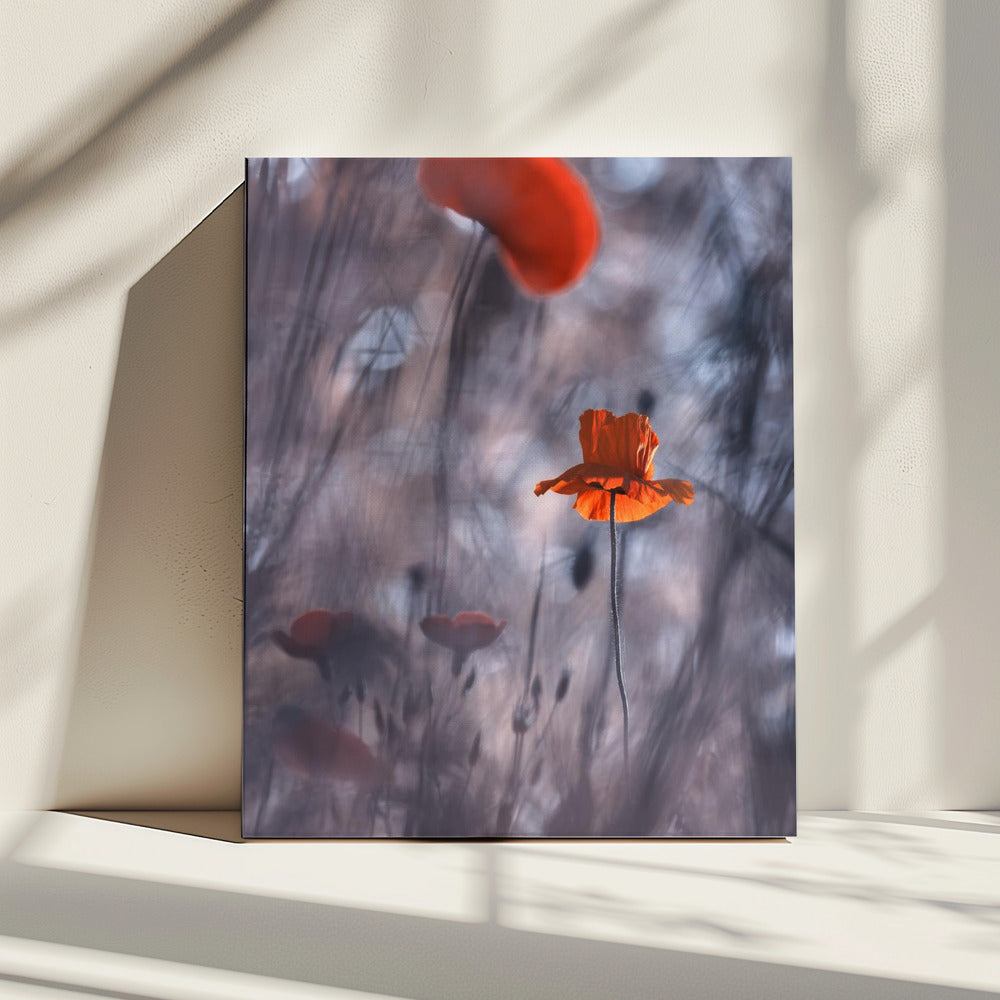 Verlangens en passies | Canvas