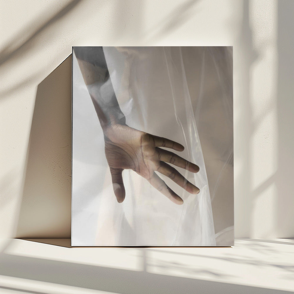 Hand door Sheer | Canvas
