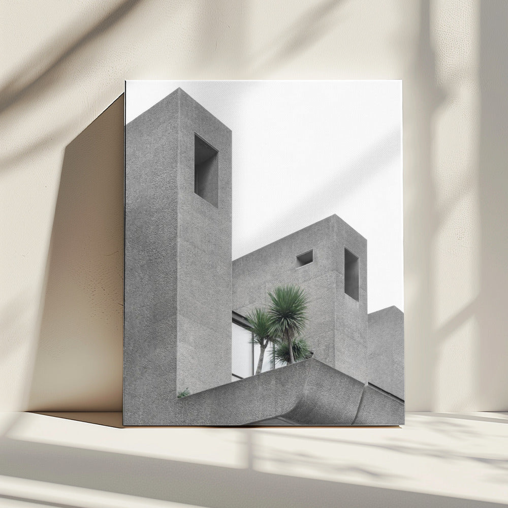 Eenzame Palmen Nr. 2 | Canvas