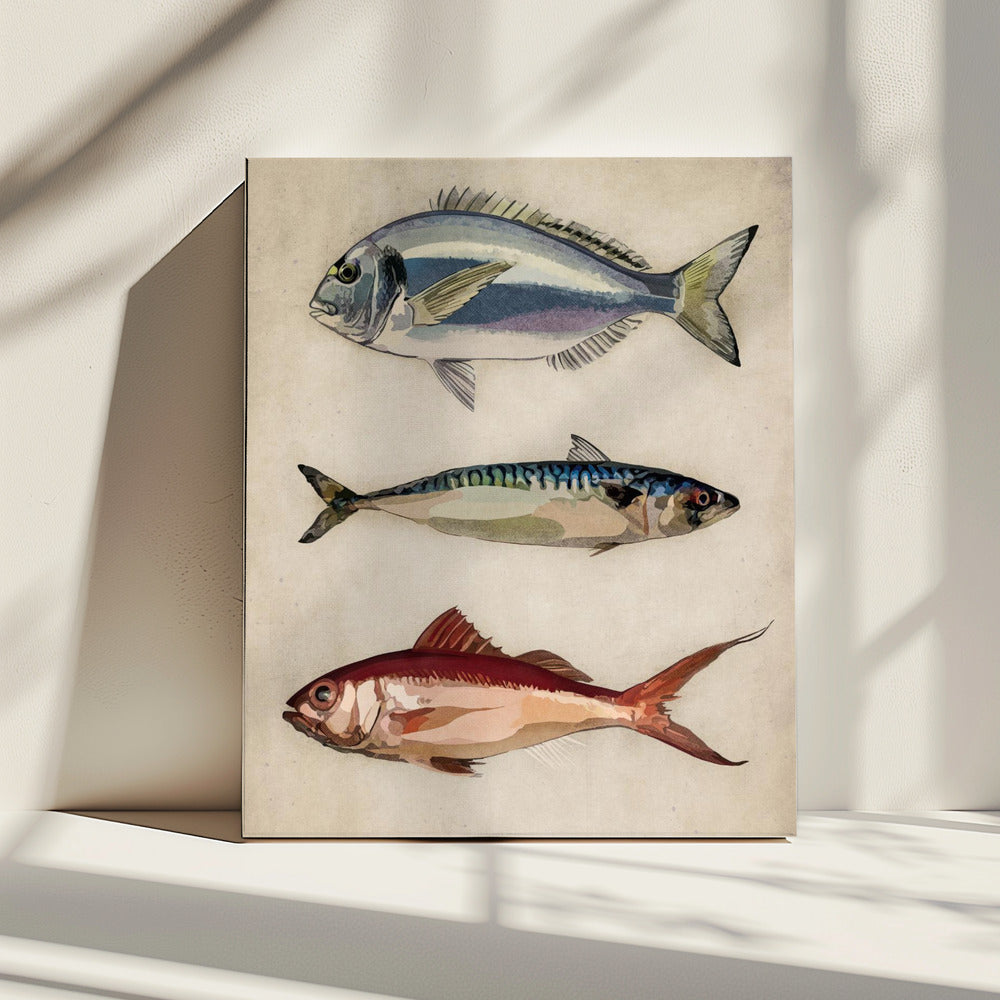 Trio van Oceaanleven | Canvas