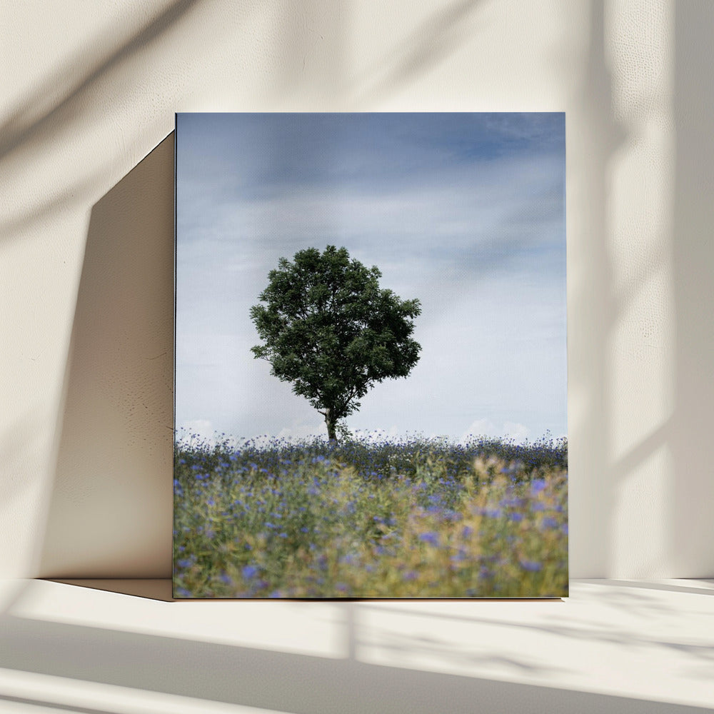 Summer Meadow | Canvas
