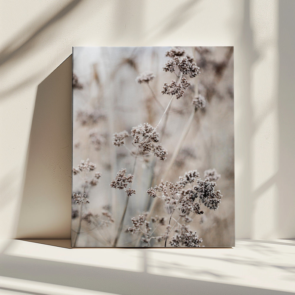 Unknown 8 | Canvas