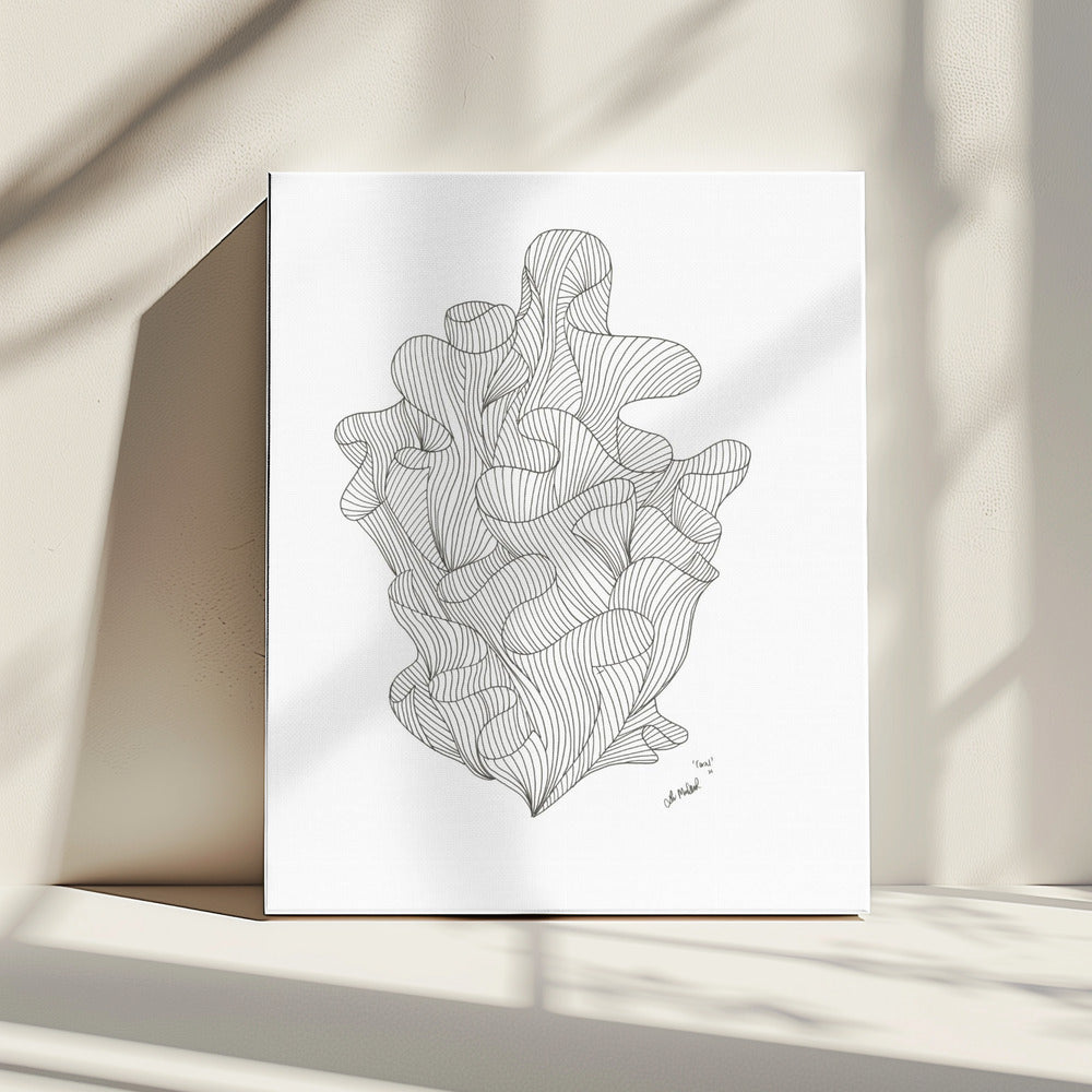 Coral Jpeg | Canvas