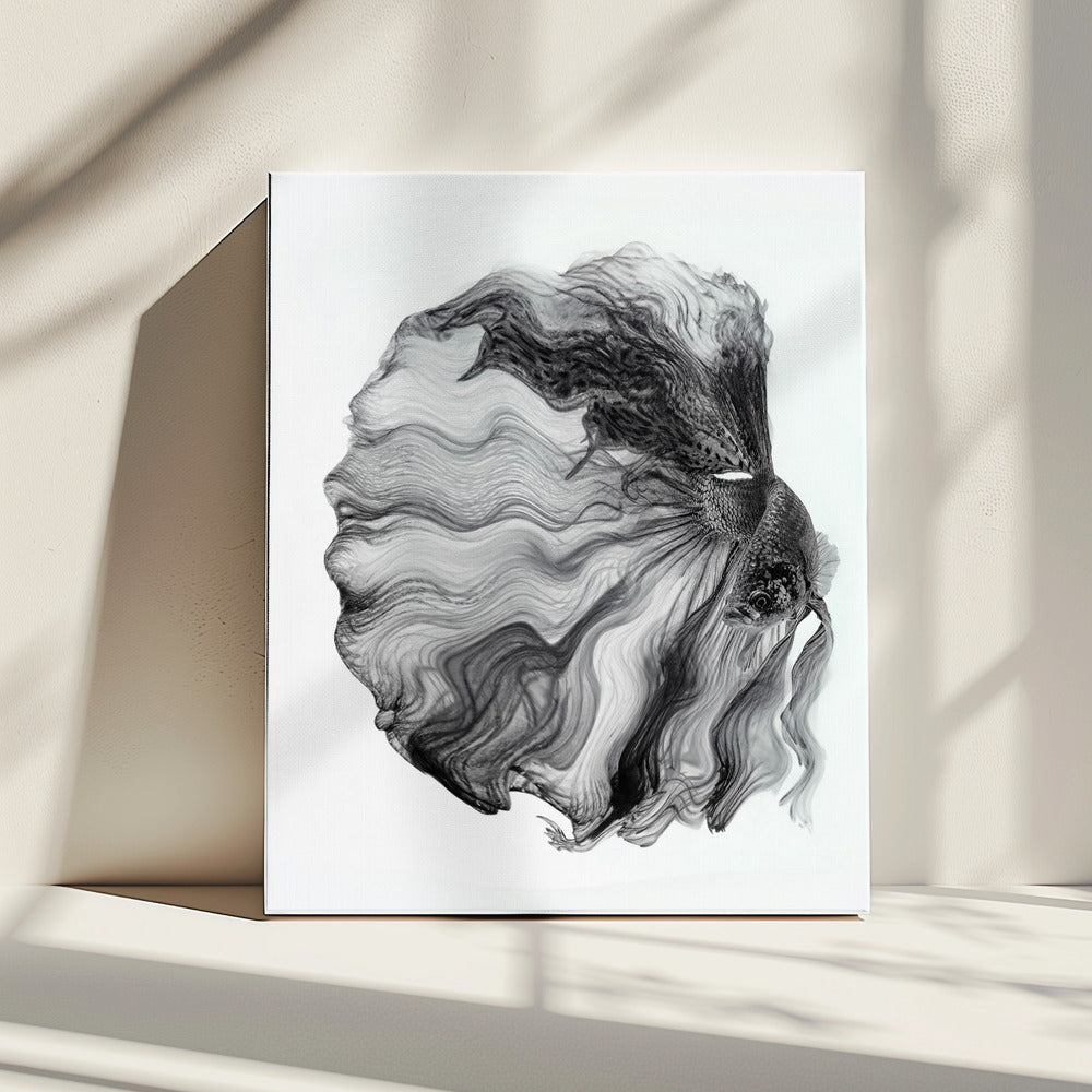 INKT BETTA | Canvas
