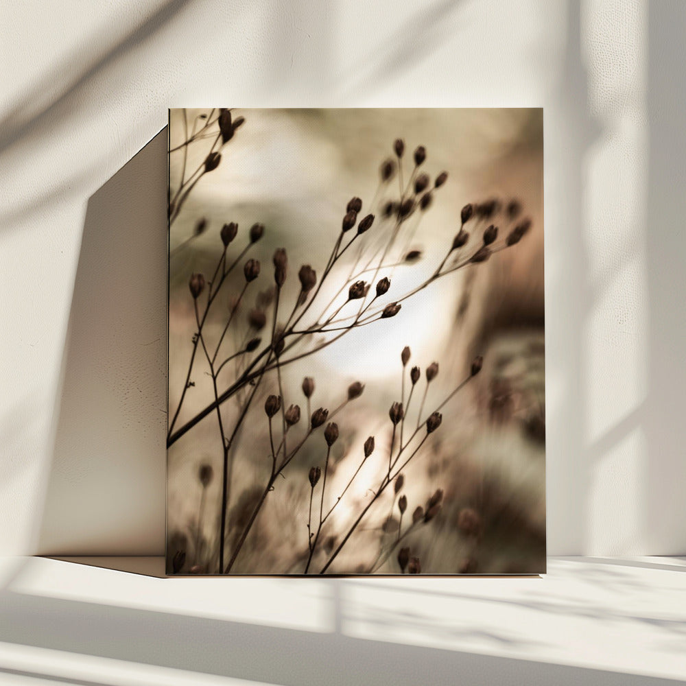 Autumn Lights | Canvas