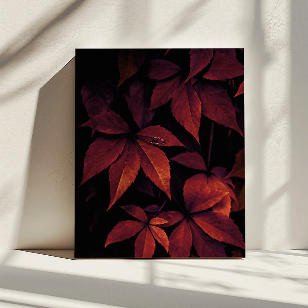 Dark Leaves 7X | Canvas