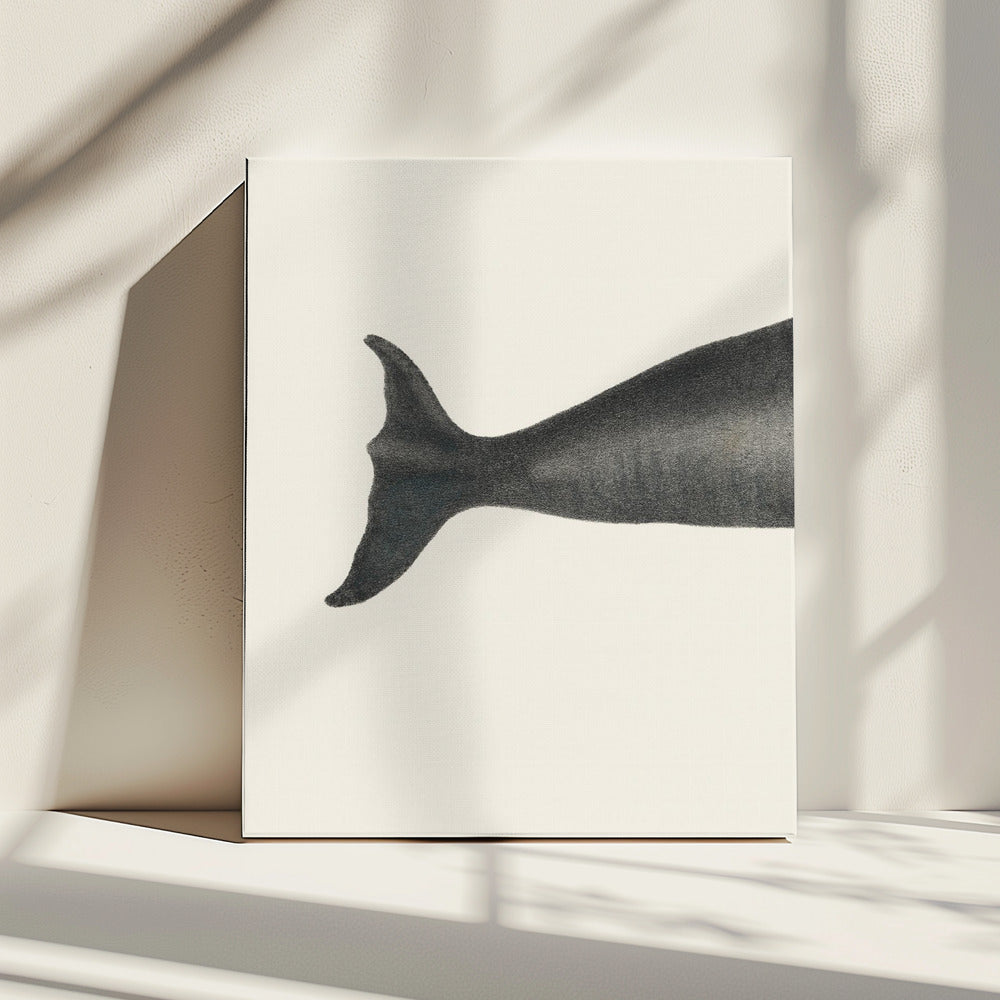 Whale Tight Crop I Handgekleurde zeelevenlithografie 1824 | Canvas