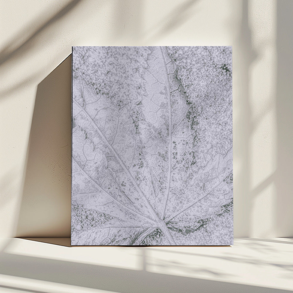 Terug naar de aarde | Canvas