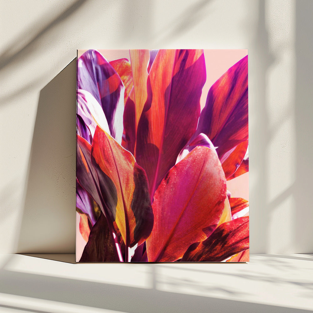 Fuchsia Bladeren I | Canvas