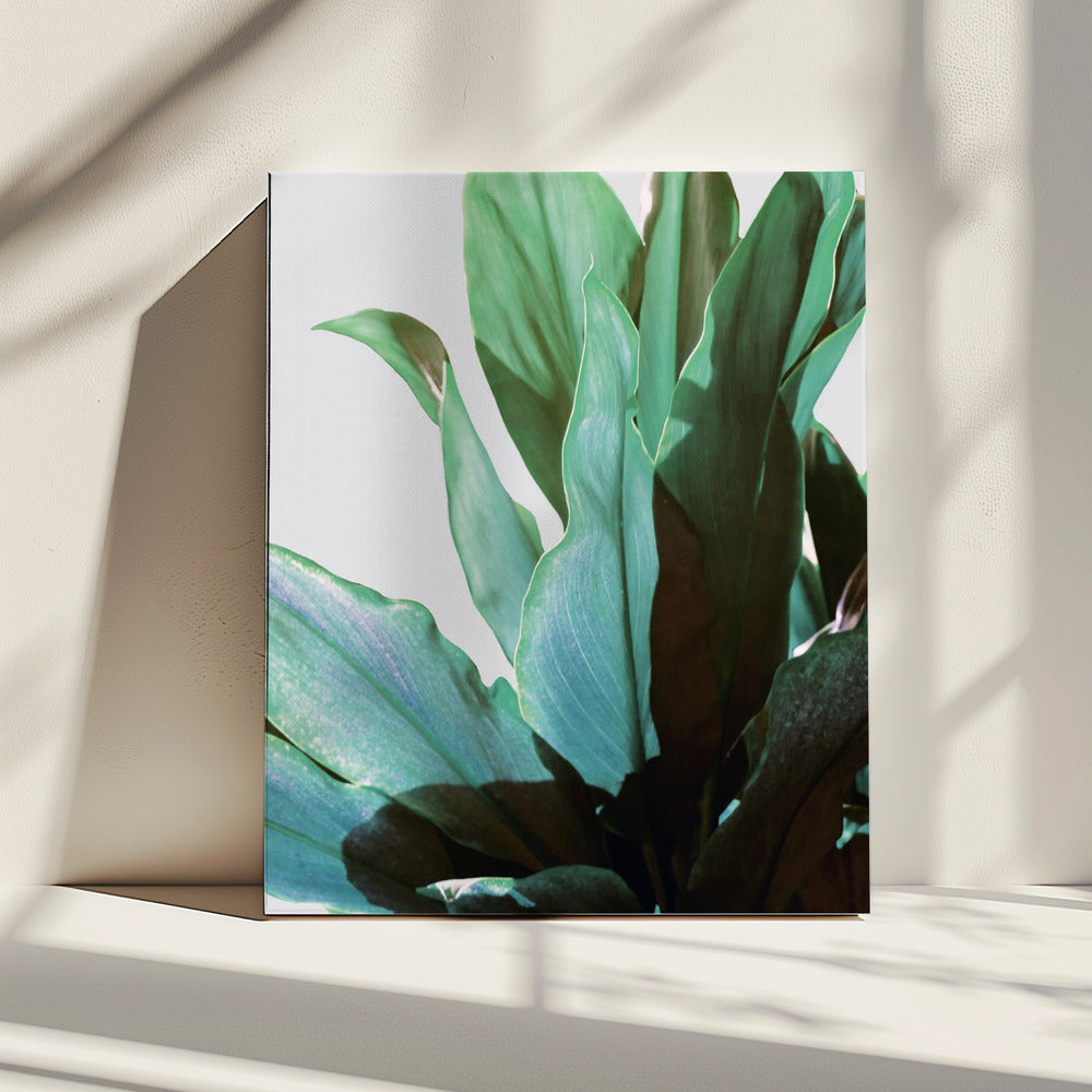 Groene bladeren | Canvas