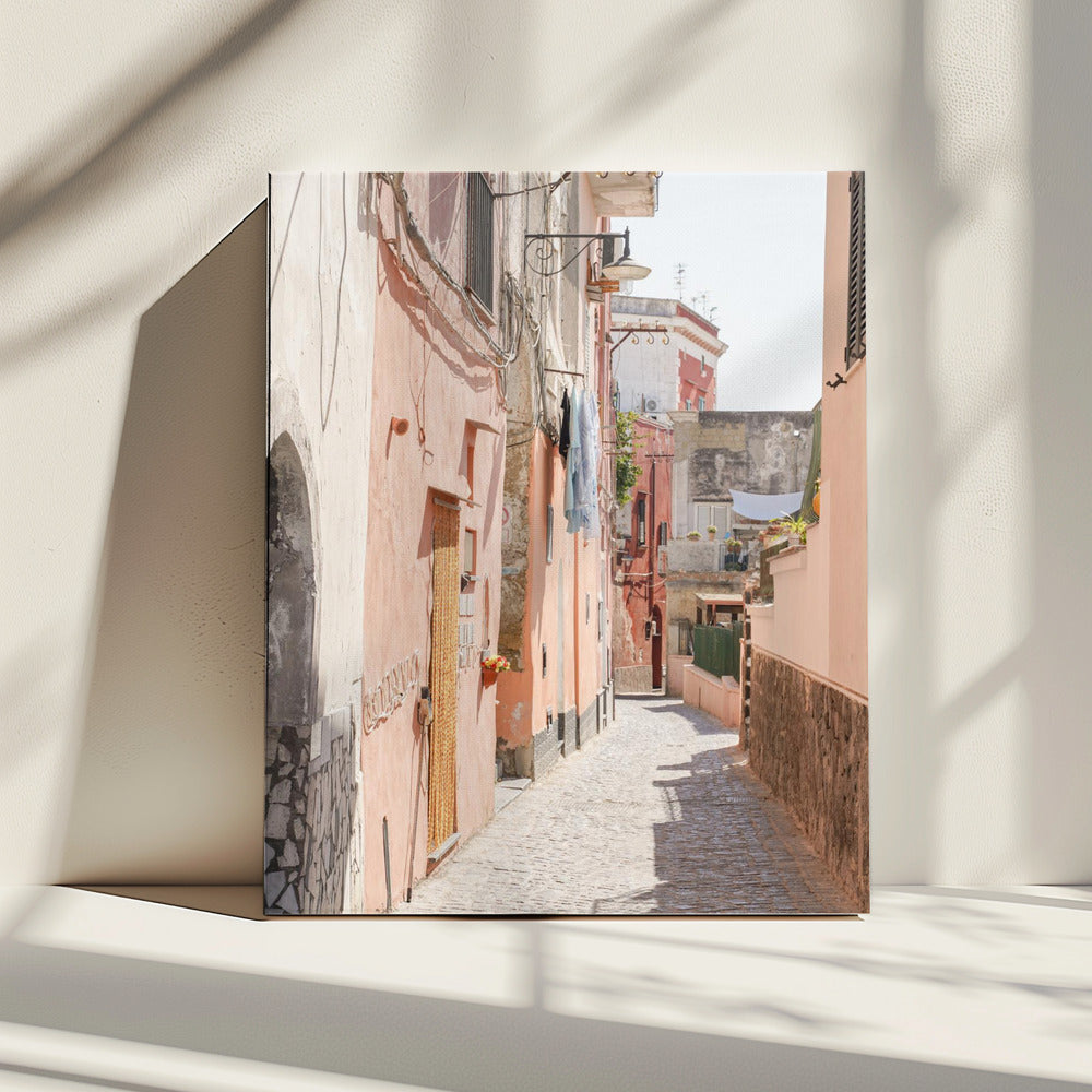 Procida Steegjes | Canvas