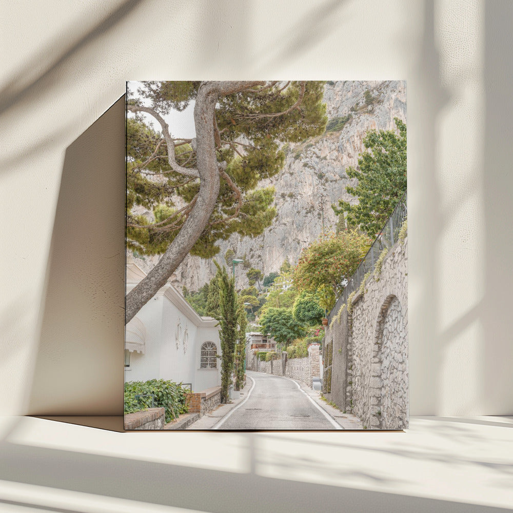 Straten van Capri | Canvas