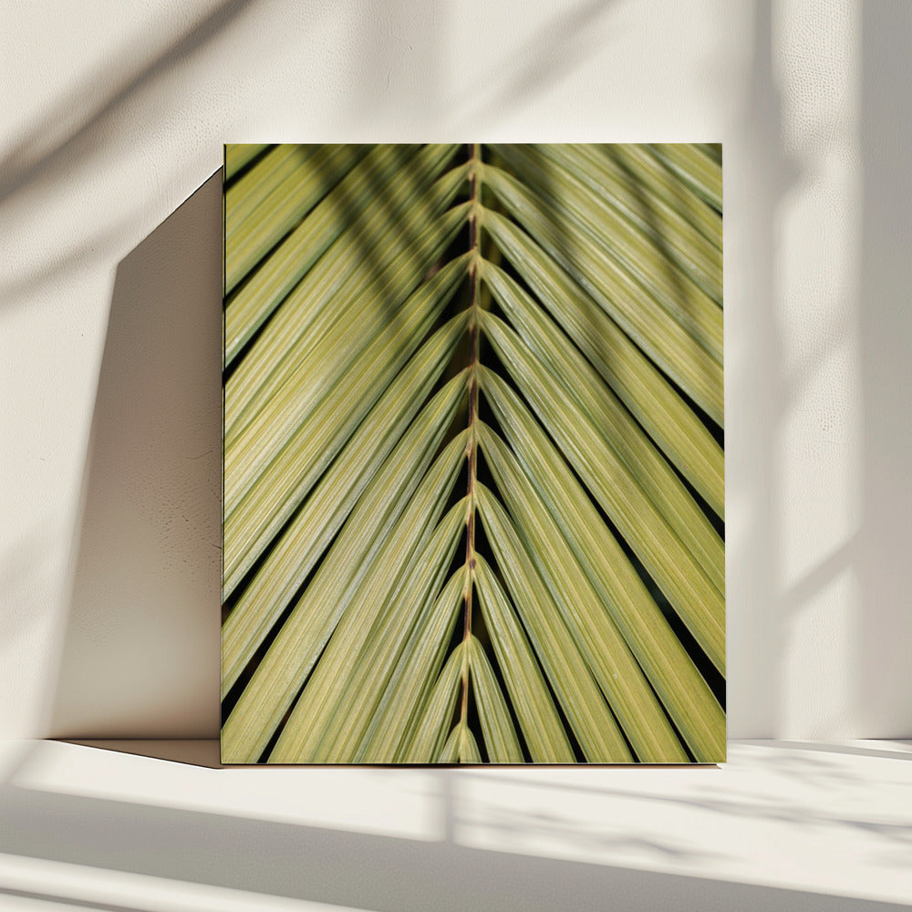 Tropisch blad | Canvas