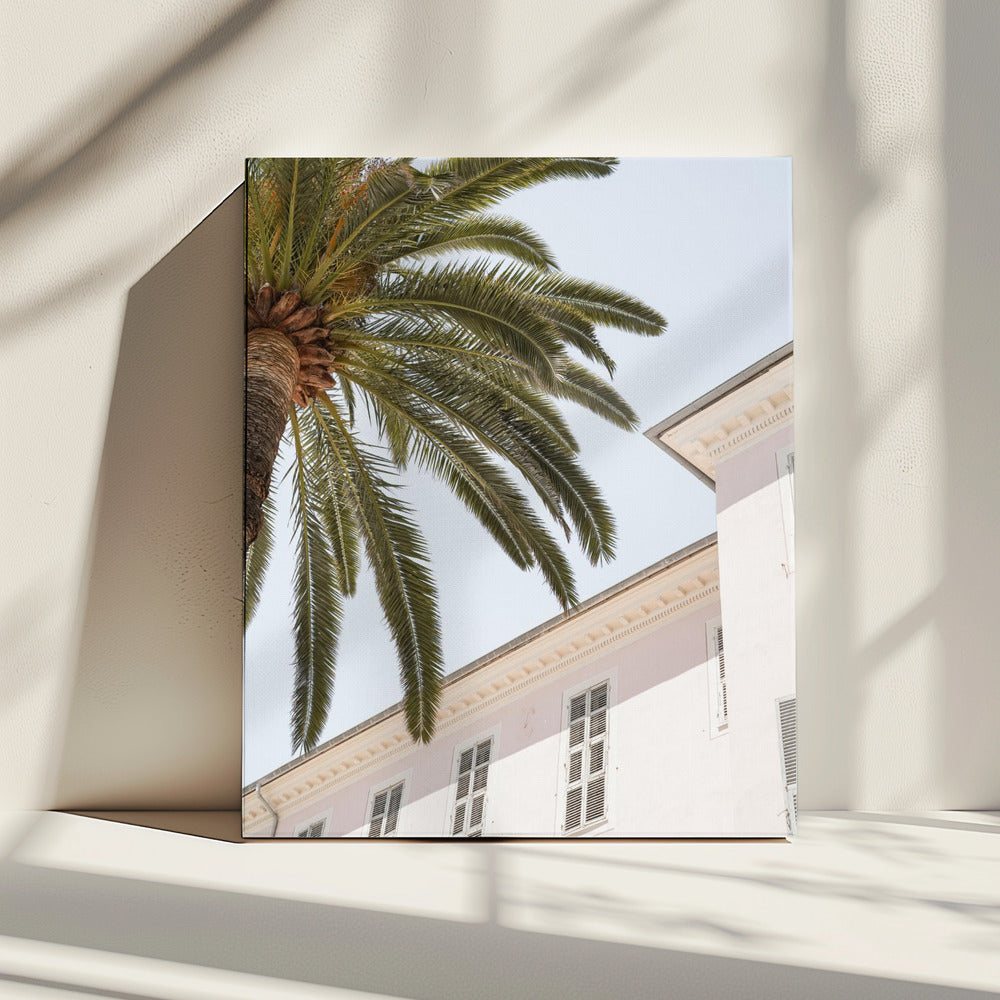 Tropisch Menton | Canvas