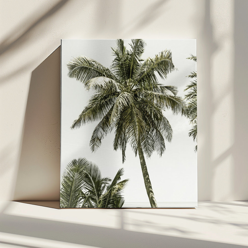 Palmbomen aan de oceaan | Vintage | Canvas