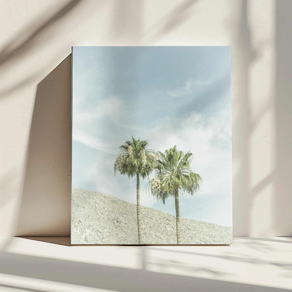 Vintage palmbomen in de woestijn | Canvas