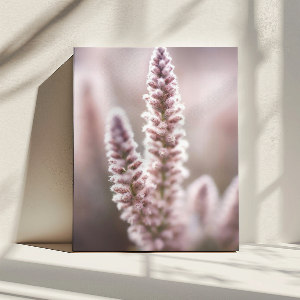 Zachte bloesemtinten | Canvas