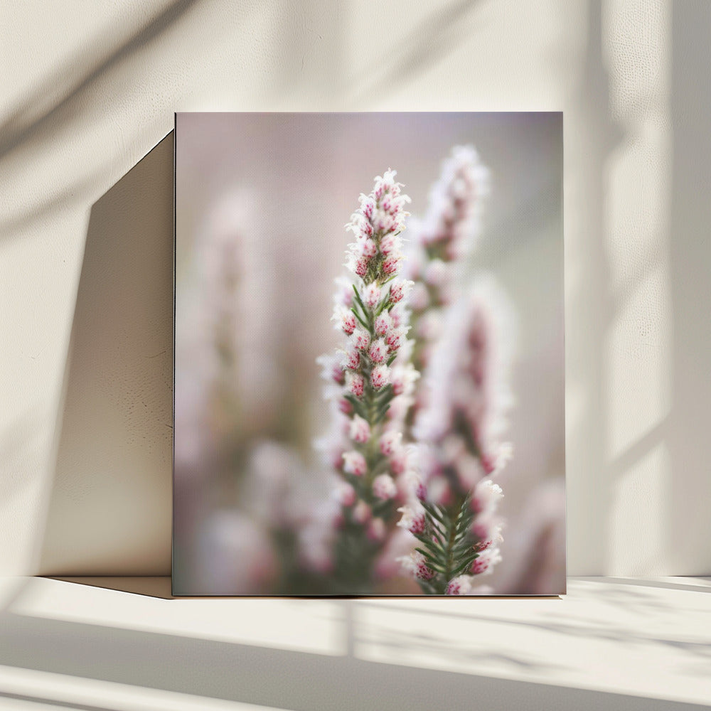 Gefluister van Heide | Canvas