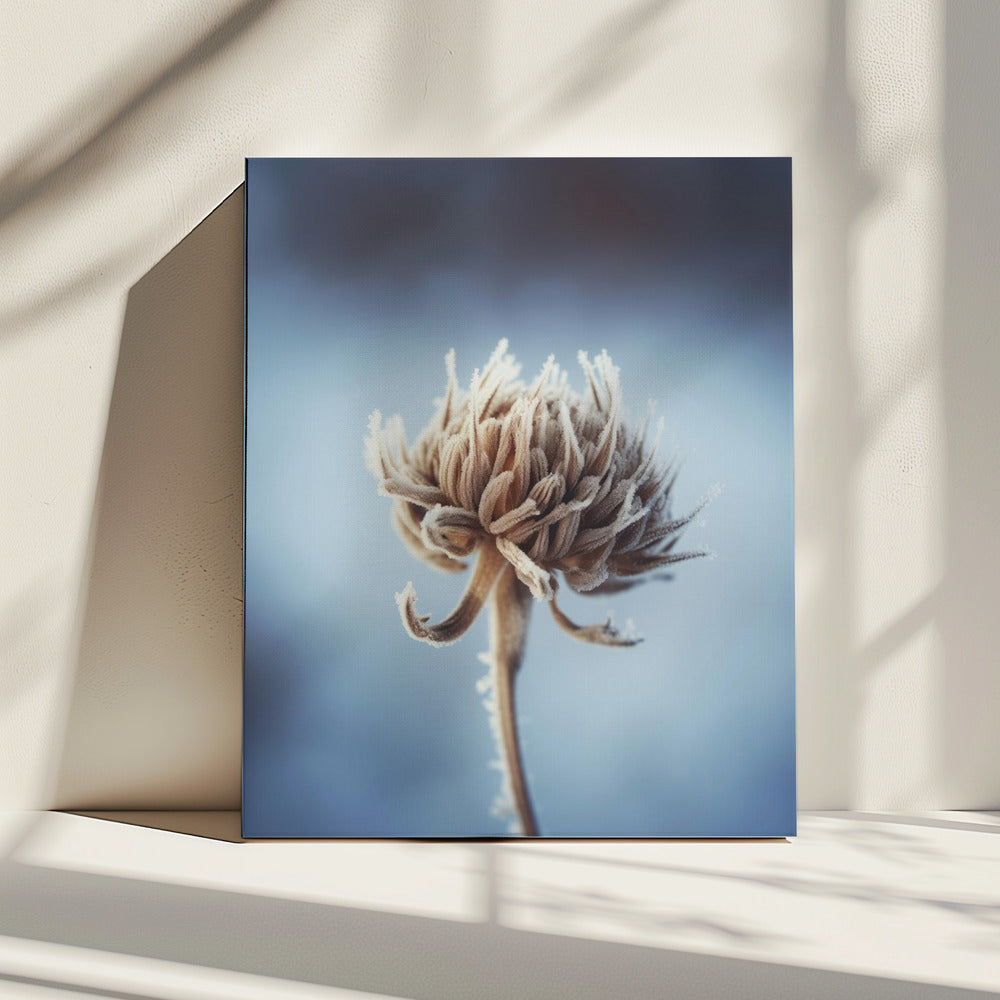 Bevroren bloesem | Canvas