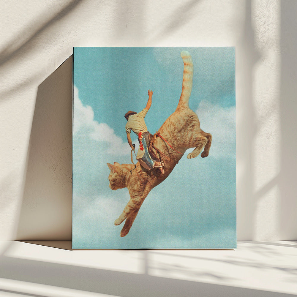 Meehaw Rodio Kat | Canvas