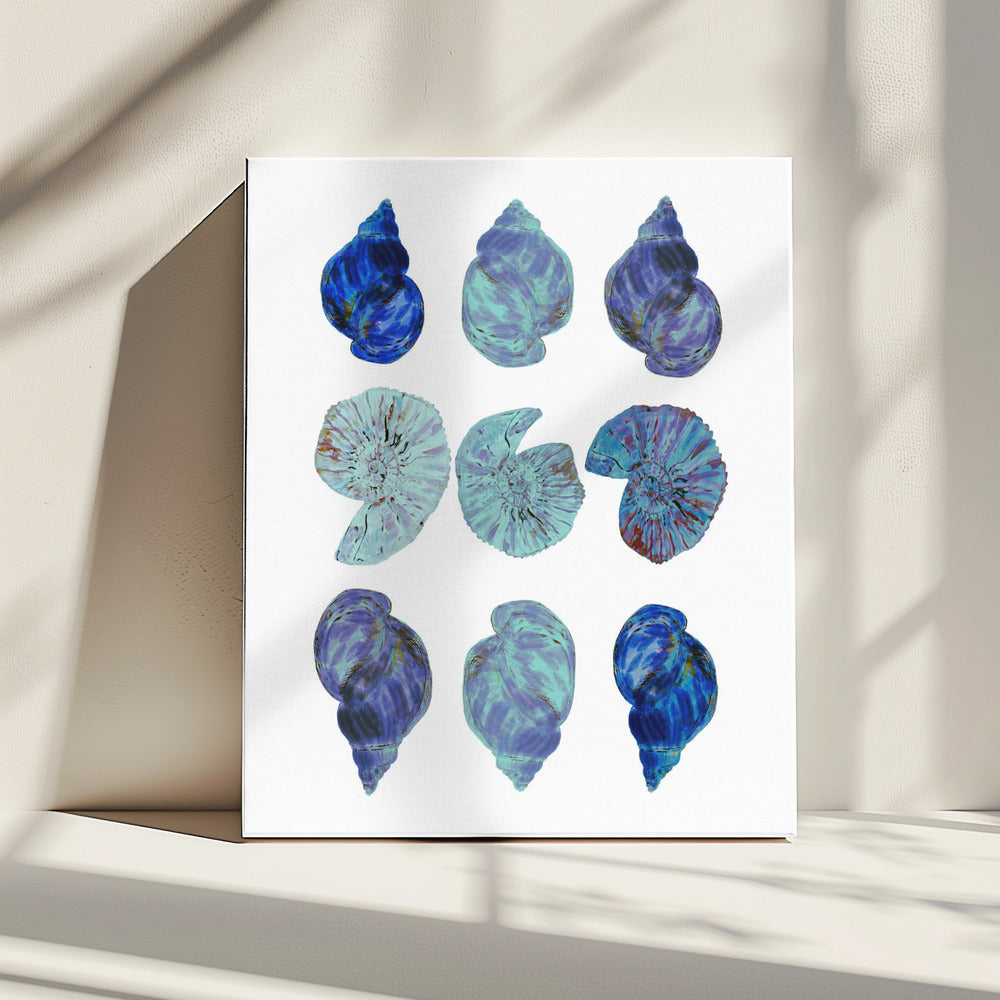 Blue Sea Shells Poster | Canvas