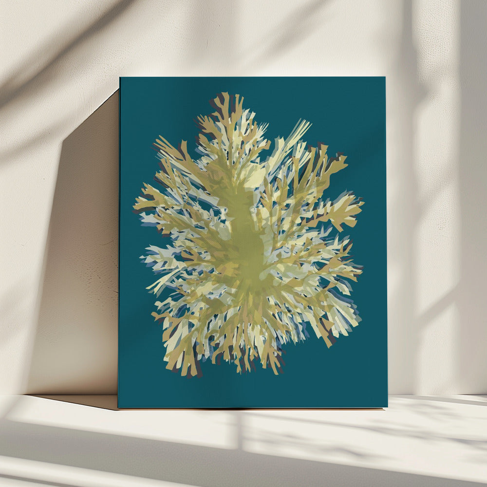 Zeewierposter 1 | Canvas