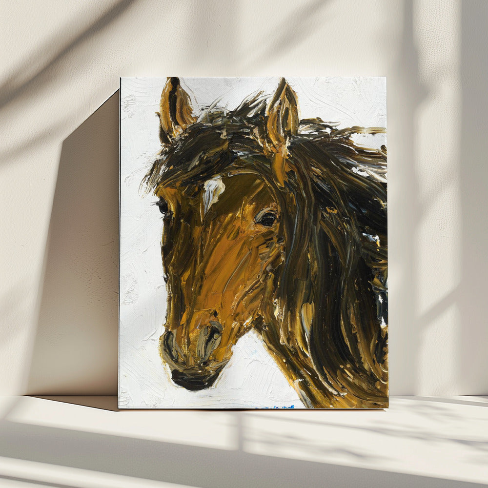 Paard | Canvas