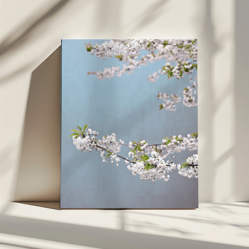 Kleurrijke Lente 14 | Canvas
