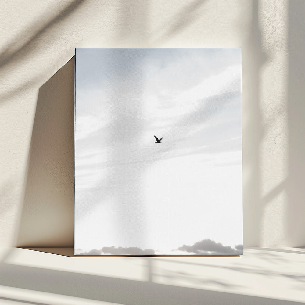Hoog vliegen | Canvas