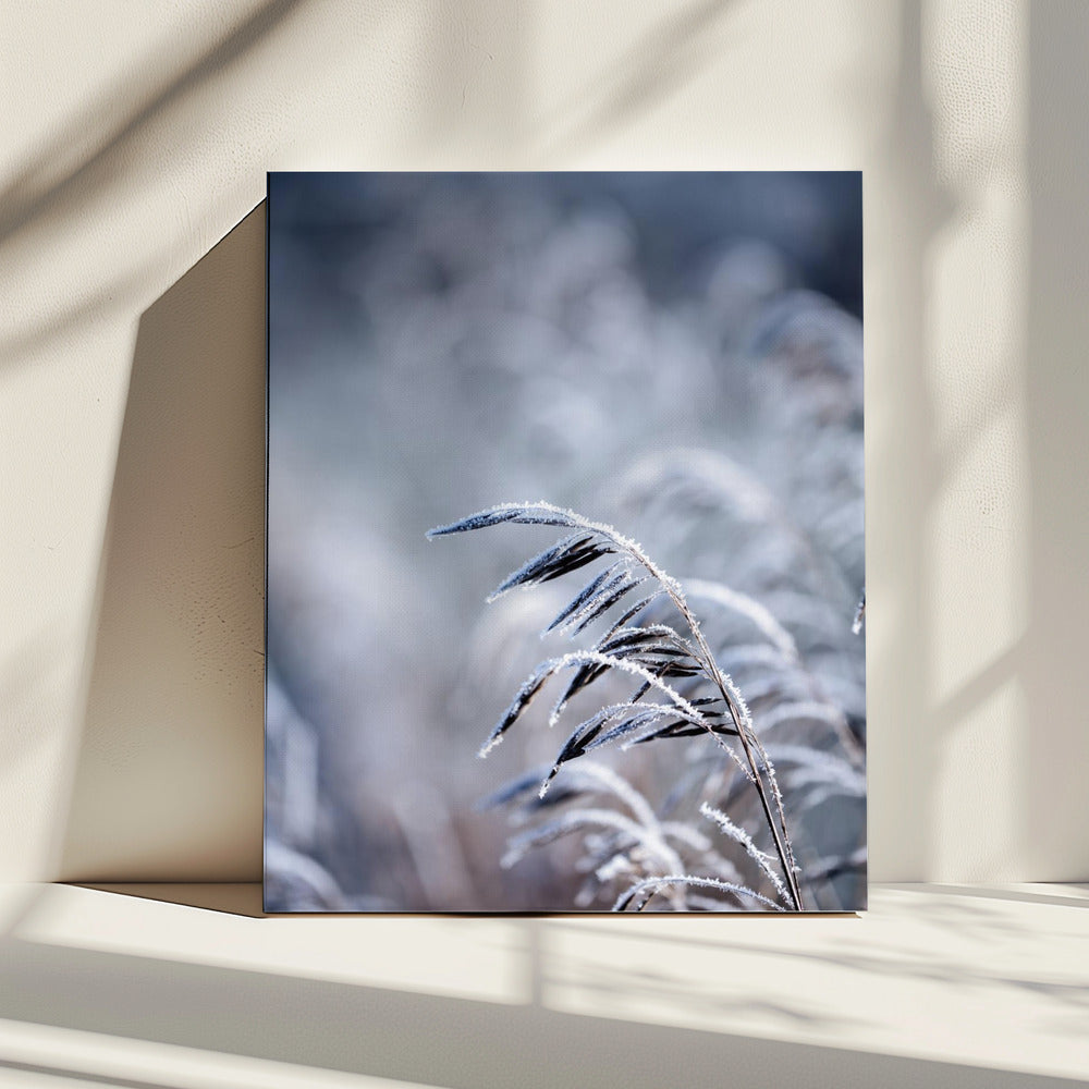 Vorstelijke ochtend 5 | Canvas