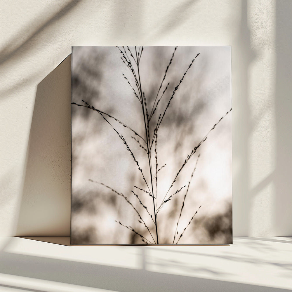 Gras 17 | Canvas