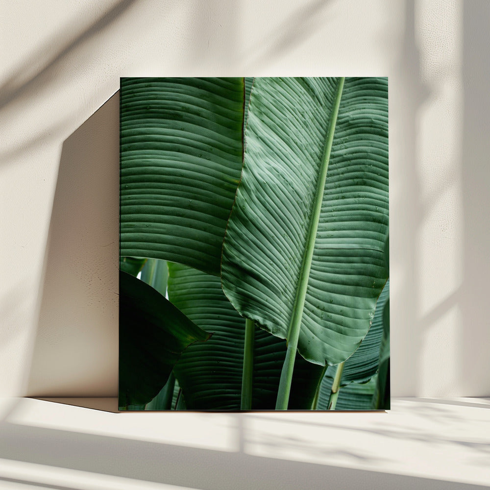 Bladeren 14 | Canvas