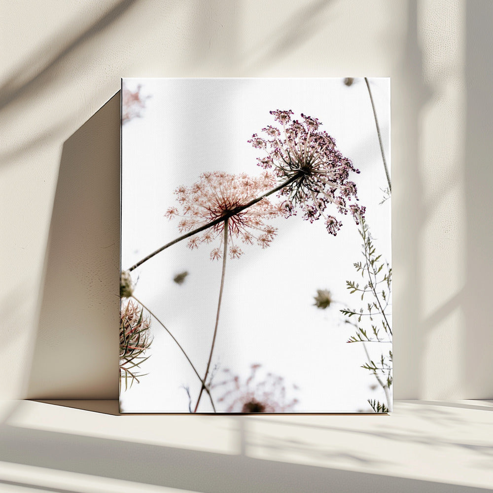 Zomerbloemen | Canvas
