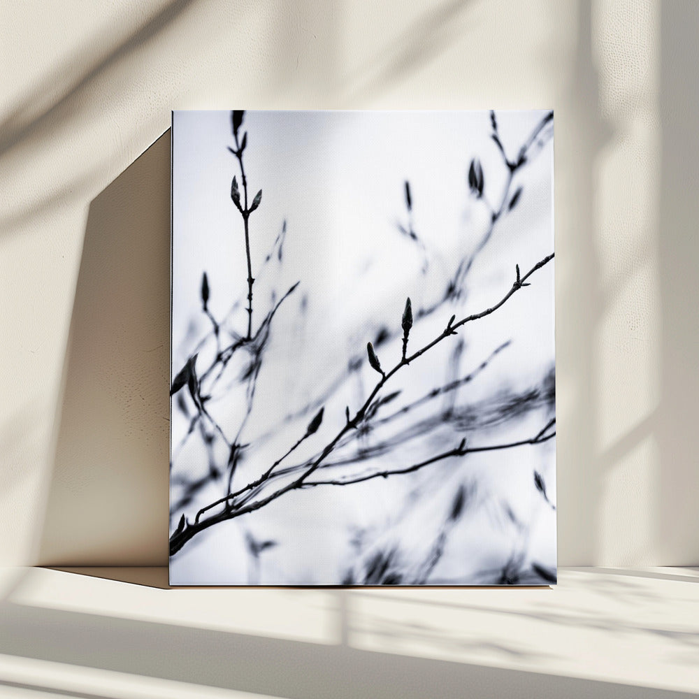 Wintertakken 2 | Canvas