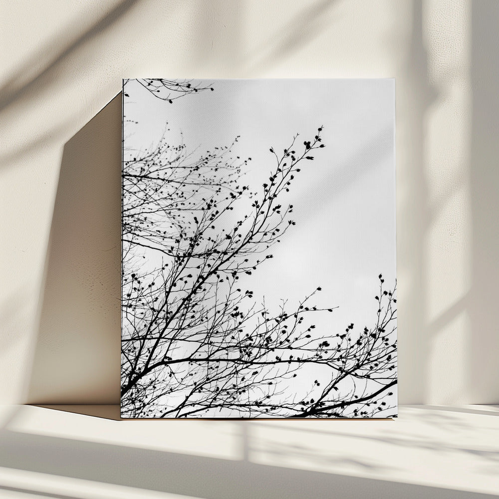 Wintersilhouetten 7 | Canvas