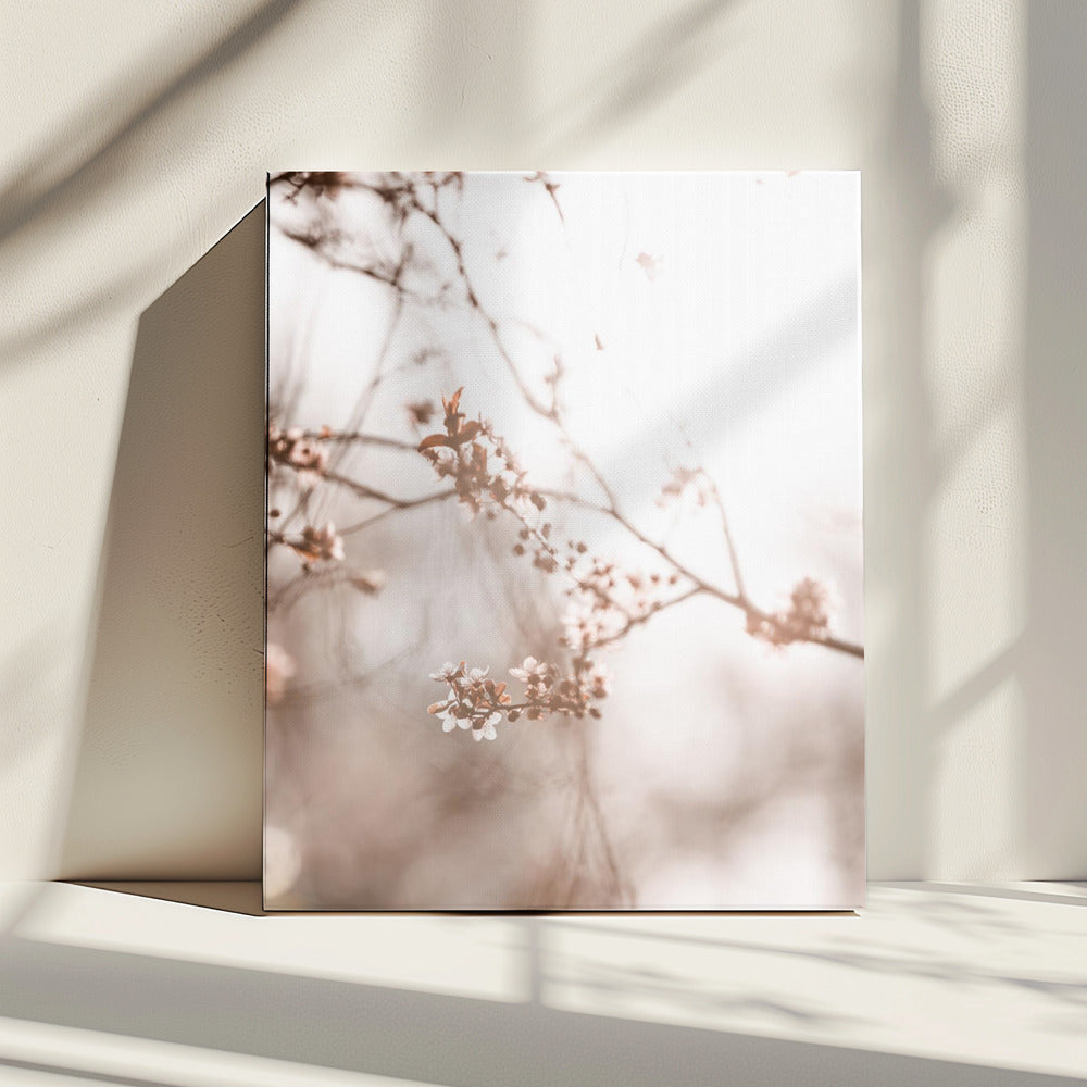 Laatste Lente 3 | Canvas