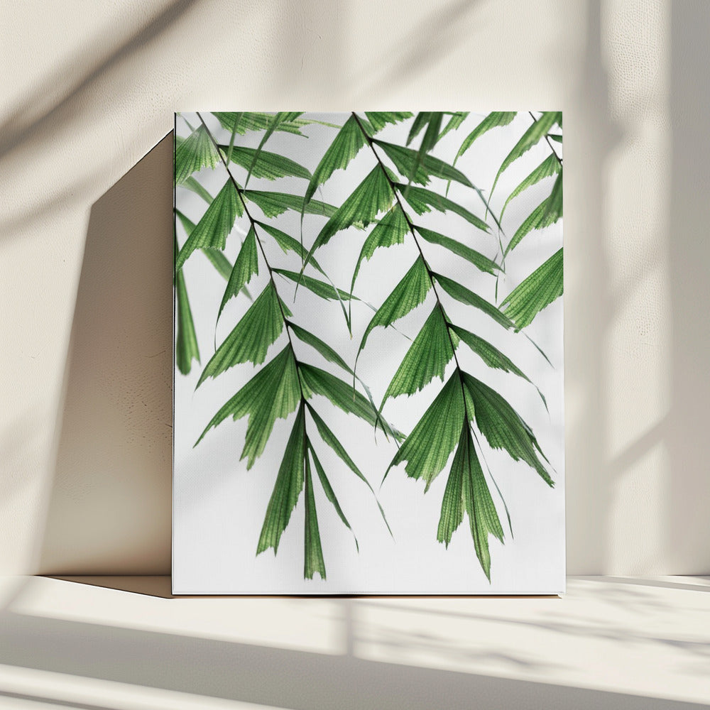 Zomertakken 3 | Canvas