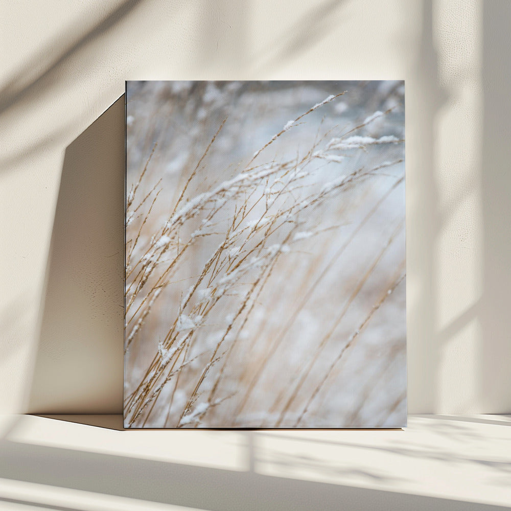Wintergras | Canvas