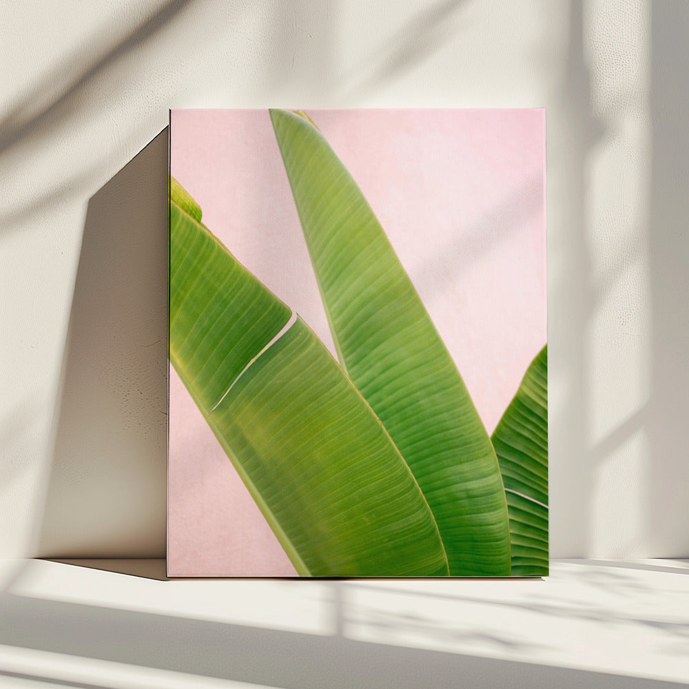Merida Groen op Roze | Canvas