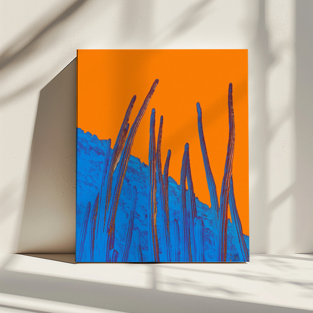 Antennes | Canvas