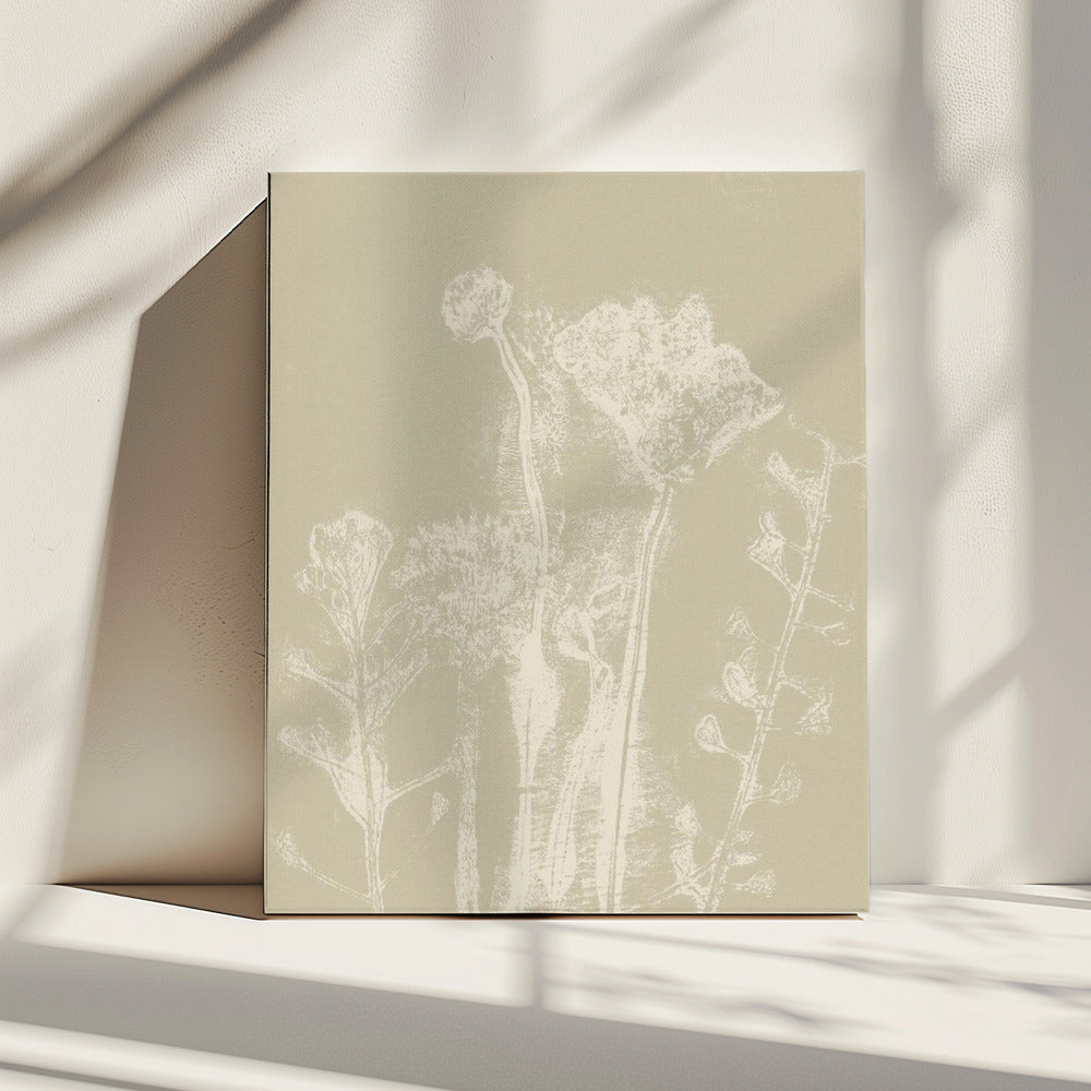 Abstracte bloemen. Witte weideplanten en bloemen op neutraal beige. | Canvas