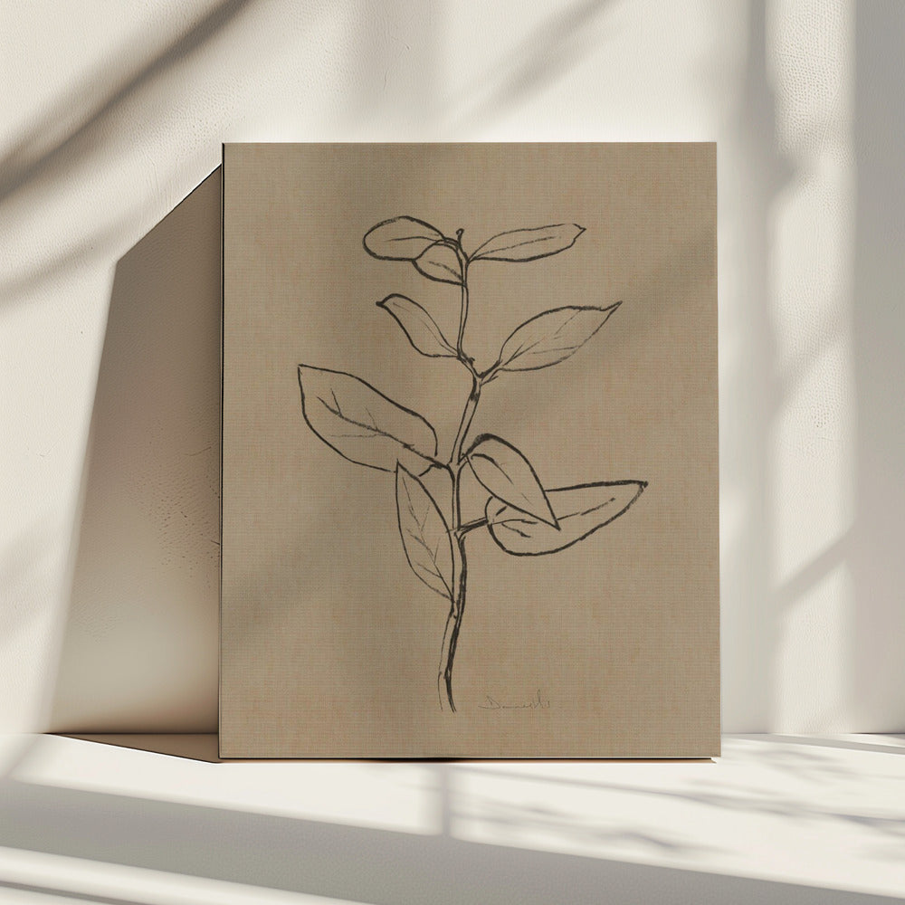 Eucalyptusboompje | Canvas