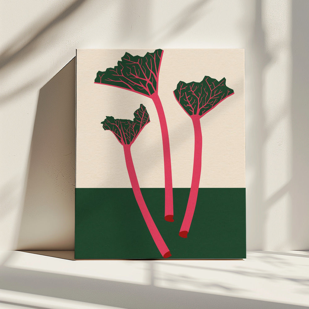 Zweedse tuinrabarber | Canvas