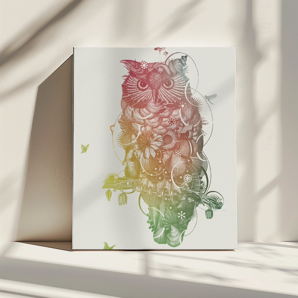 Uil | Canvas