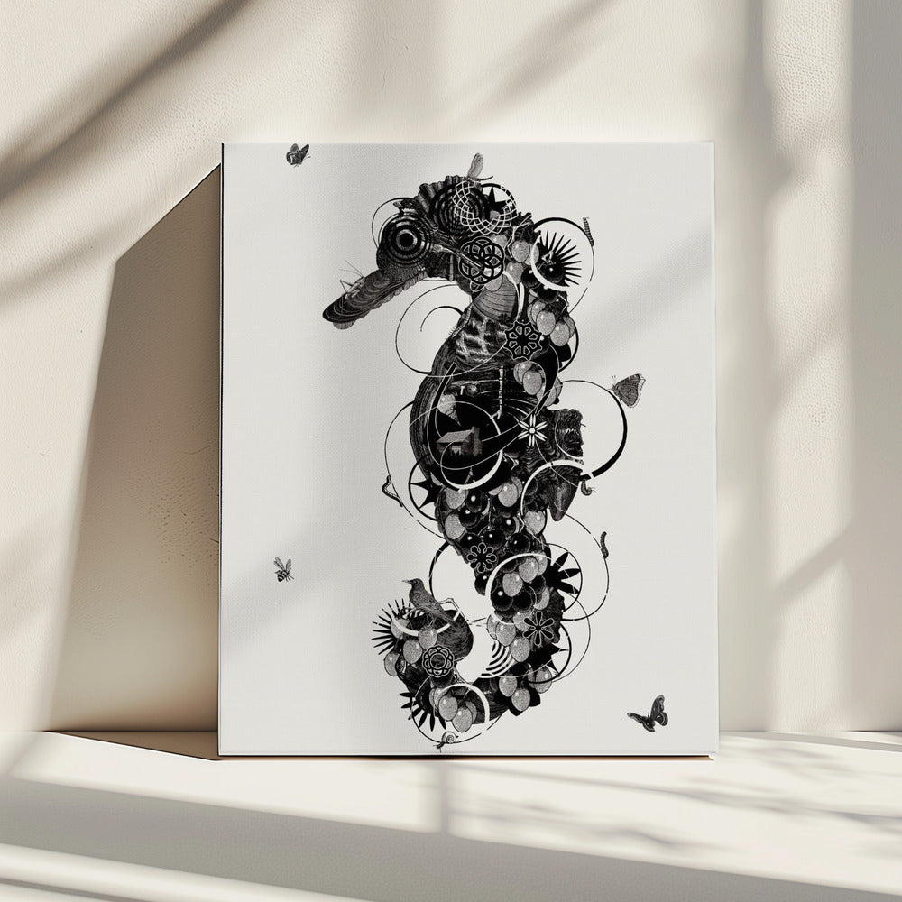 Zeepaardje | Canvas