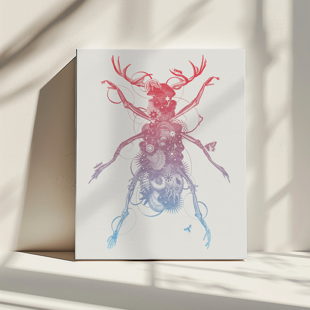 Kever 2 | Canvas